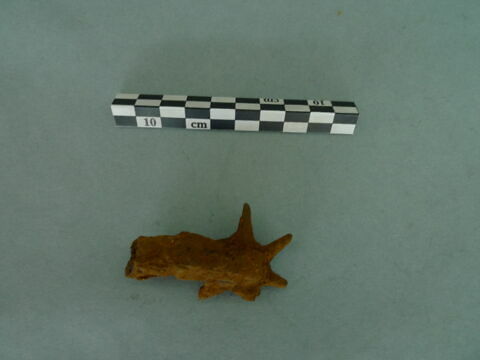 fibule, image 2/3
