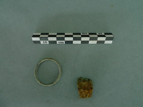 anneau ; nodule