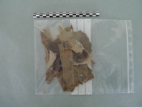 textile divers, fragment, image 2/3