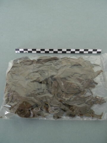 textile divers, fragment, image 3/3