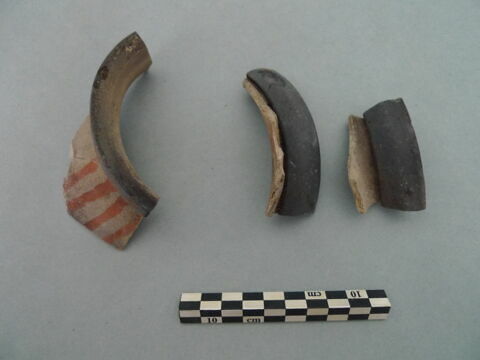 col, fragment, image 3/3