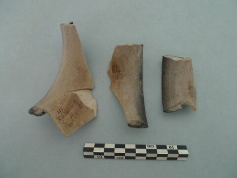 col, fragment, image 2/3