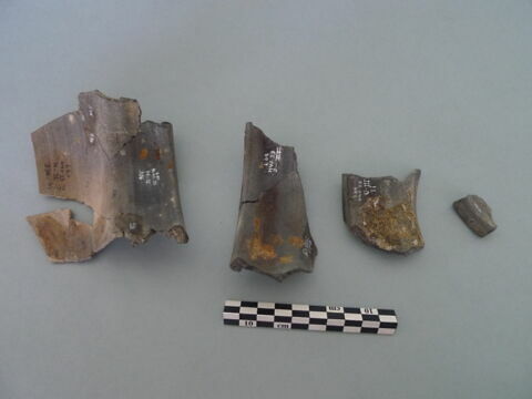 col, fragment, image 2/3