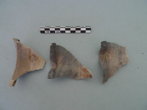 col, fragment, image 2/3