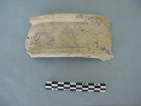 col, fragment, image 3/3