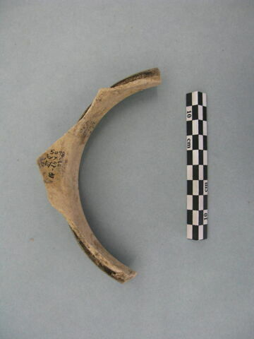 col, fragment, image 3/3