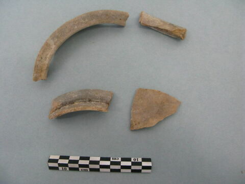 col, fragment, image 3/3