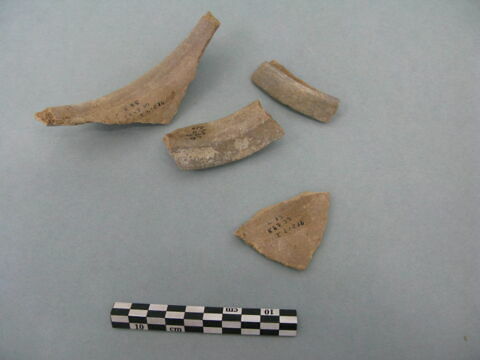 col, fragment, image 2/3