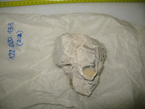 enduit peint, fragment, image 5/5