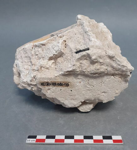 enduit peint, fragment, image 2/5