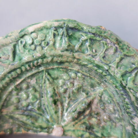 cupule, image 3/3