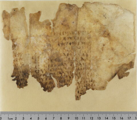 feuillet de codex ; fragment, image 2/2