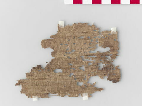 papyrus, image 2/2