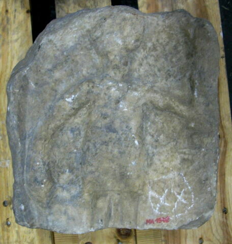 Stèle votive à Saturne (fragment)