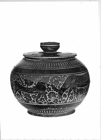 pyxis, image 7/8