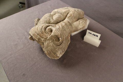 chéneau, image 2/4