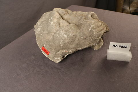 chéneau, image 3/4