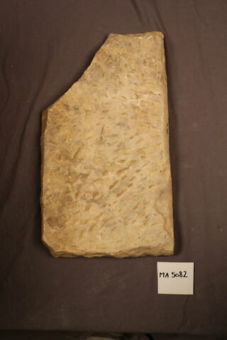 chapiteau de pilastre, image 2/3
