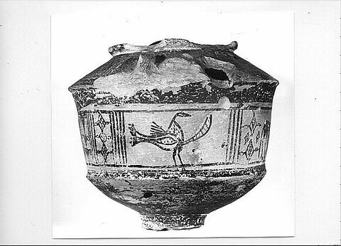 pyxis, image 7/7