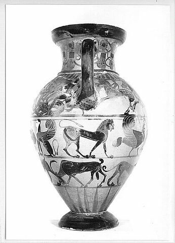 amphore, image 5/7