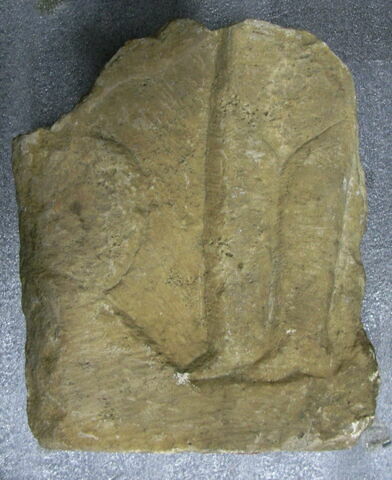 Stèle votive à Saturne (fragment), image 2/2