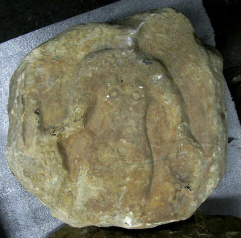 Stèle votive à Saturne (fragment), image 2/2