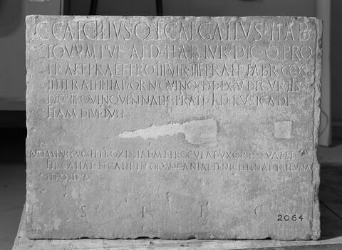 élément d'architecture ; inscription