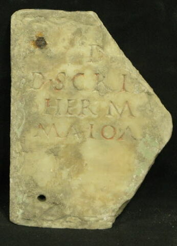 plaque de loculus