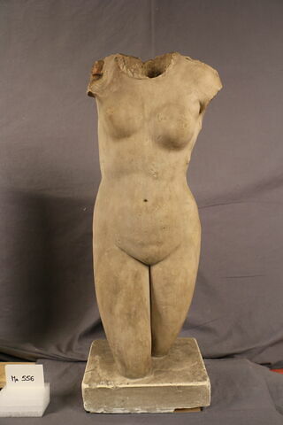 venus au collier