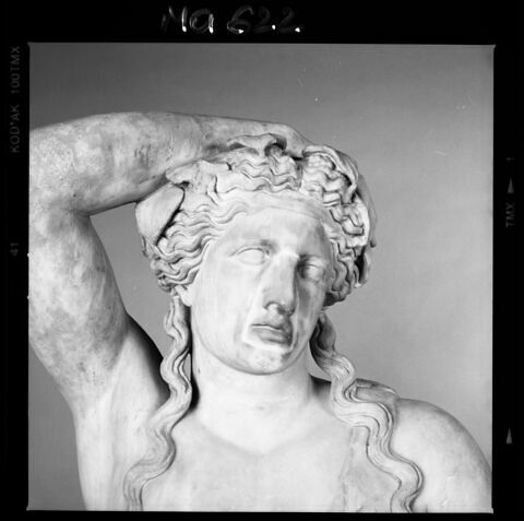 Bacchus de Versailles, image 2/2