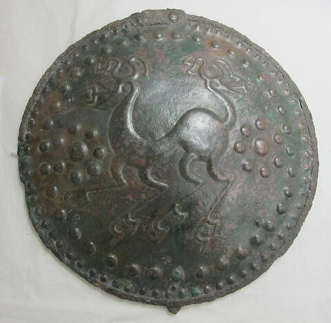 disque-cuirasse, image 2/2