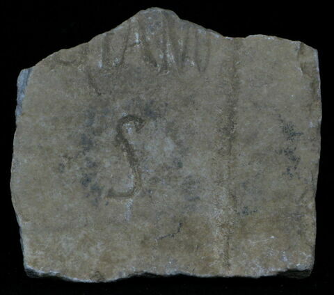 Stèle votive à Saturne (fragment)