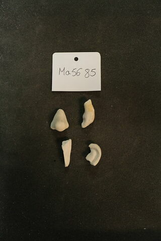 Lot de fragments de nez et d'oreilles dérestaurés