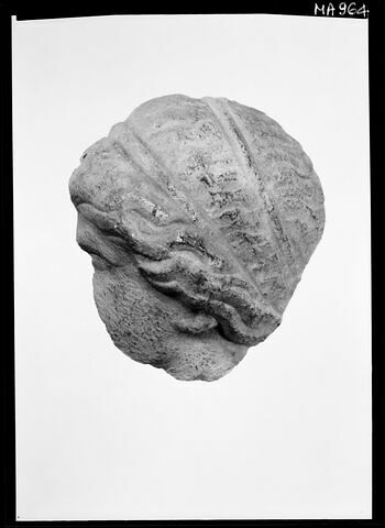 relief, image 2/2
