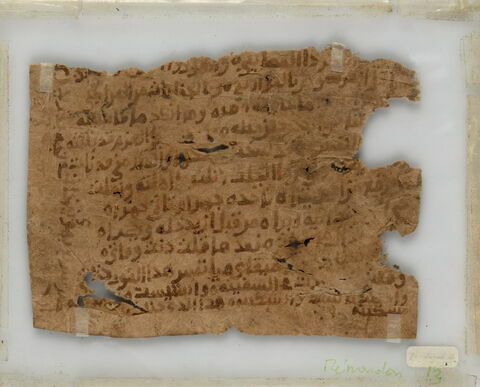 Papyrus, image 2/2