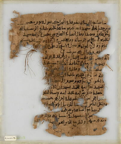 Papyrus, image 1/2