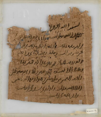 Papyrus, image 1/1