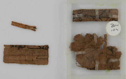 Papyrus