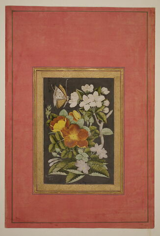 Fleurs et papillon, image 3/6