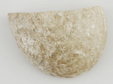 Fragment de paroi de coupe aux mandorles à bande hachurée