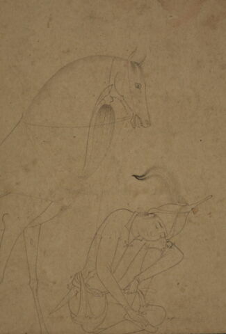 Shah Tahmasp, jeune garçon perché dans un arbre (?), image 6/11