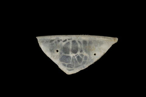 Fragment de plat