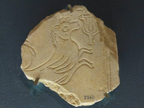 relief ; fragment