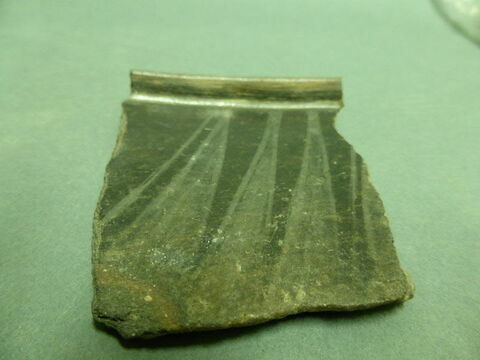 plat ; fragment