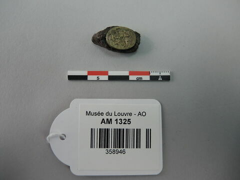 bague ; fragment