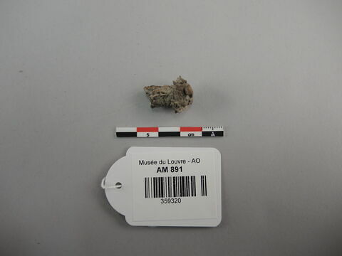 clou ; fragment