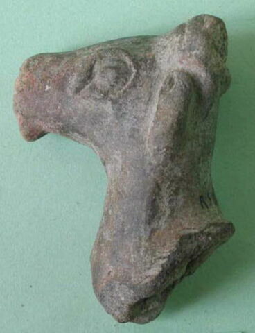 bec de vase, image 3/3