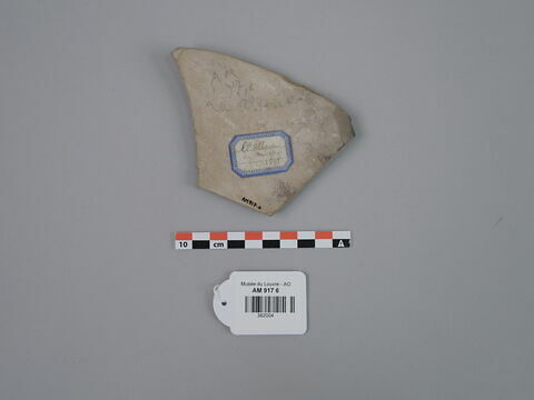 vase ; fragment, image 2/2