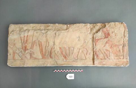 Moulage d'un relief du temple d'Hatchepsout à Deir el-Bahari