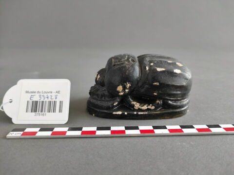 moulage ; scarabée, image 2/3